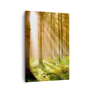 Obraz na płótnie - Las iglasty z promieniami słońca przebijającymi przez drzewa - 70x100cm - Zaraz pojawią się elfy - Nowoczesna dekoracja ścienna do salonu i sypialni ARTTOR