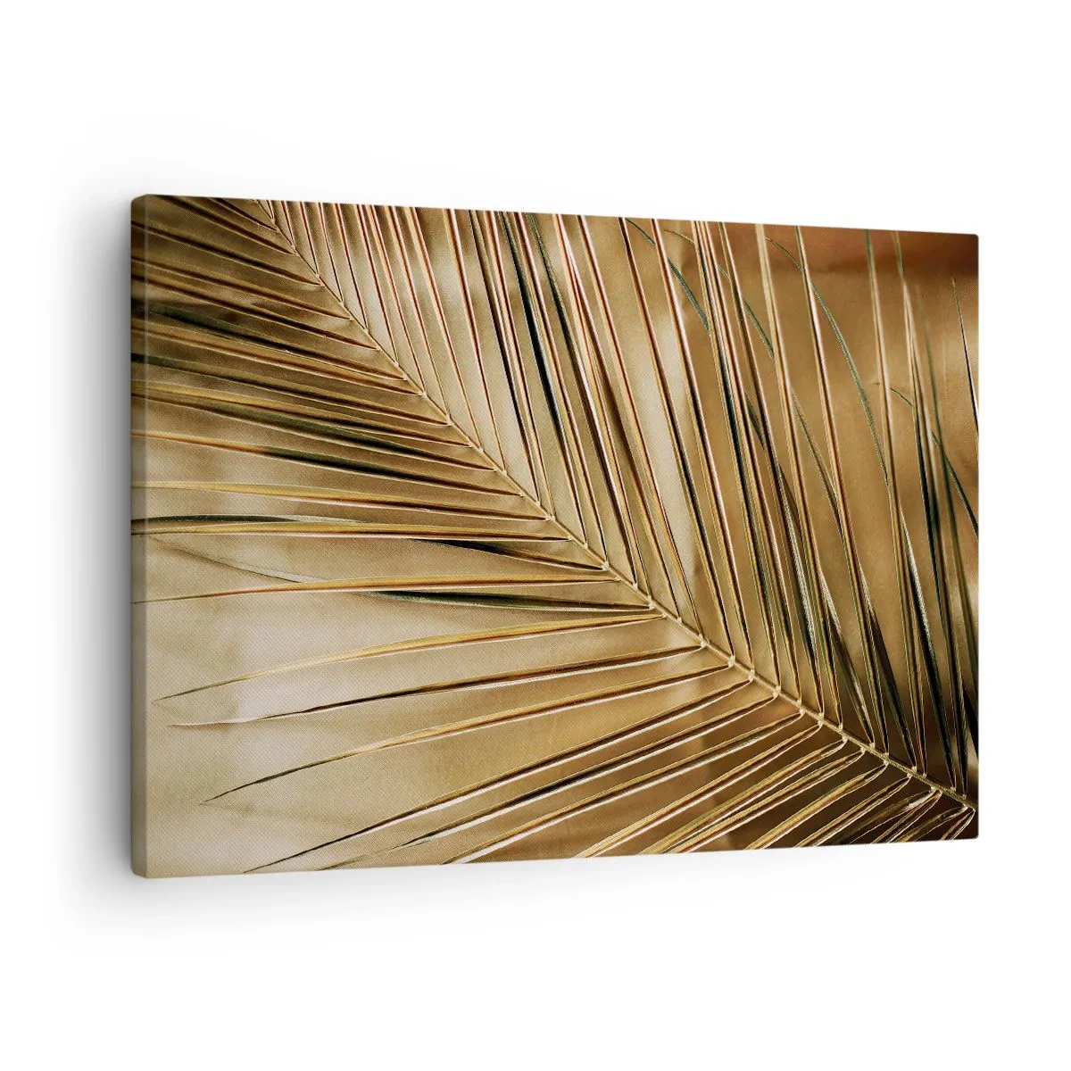 Obraz na płótnie - Złota liść palmy na jednolitym tle - 70x50cm - Naturalna kolumnada - Nowoczesna dekoracja ścienna do salonu i sypialni ARTTOR