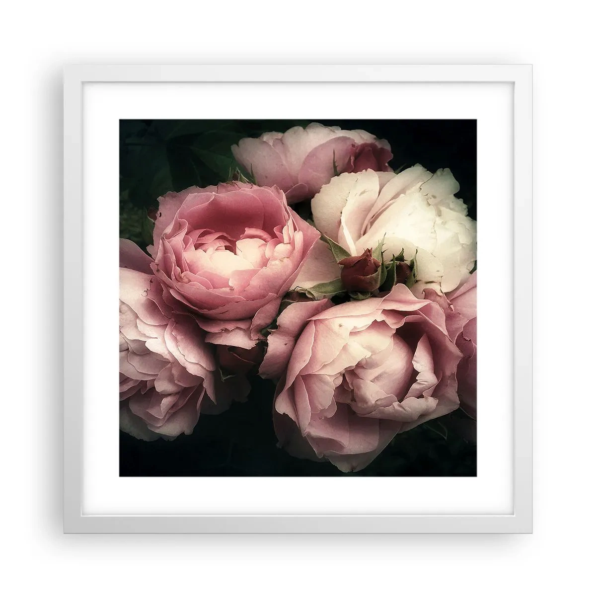 Plakat w białej ramie - Czar belle epoque - 40x40 cm