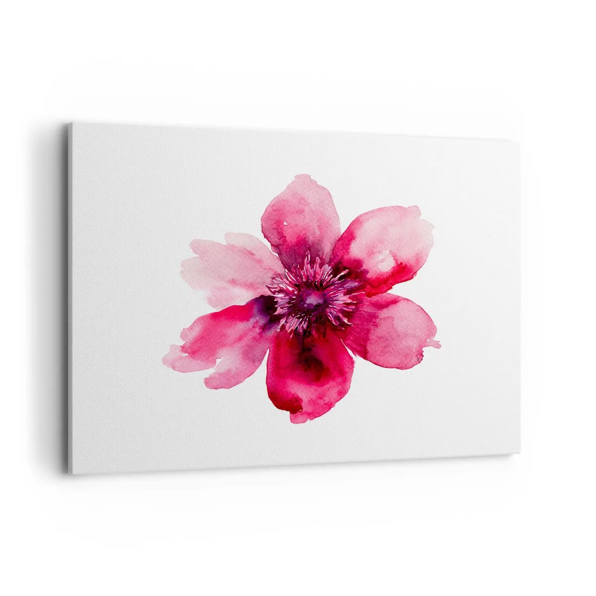 Obraz na płótnie - Różowy kwiat w akwarelowym stylu na białym tle - 100x70cm - Karminowy wonny pocałunek - Nowoczesna dekoracja ścienna do salonu, kuchni i sypialni ARTTOR