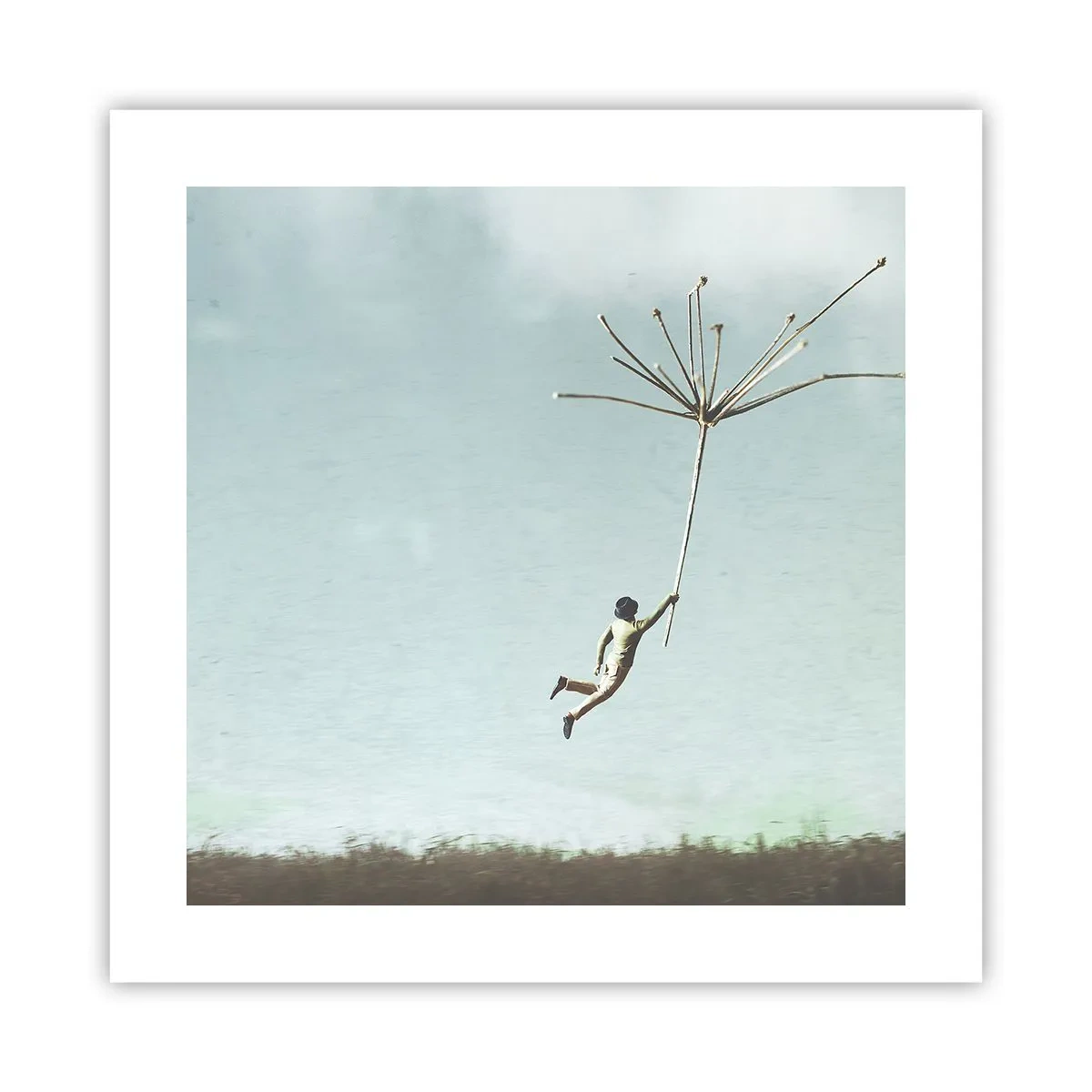 Plakat - Latawce, dmuchawce, wiatr - 40x40 cm