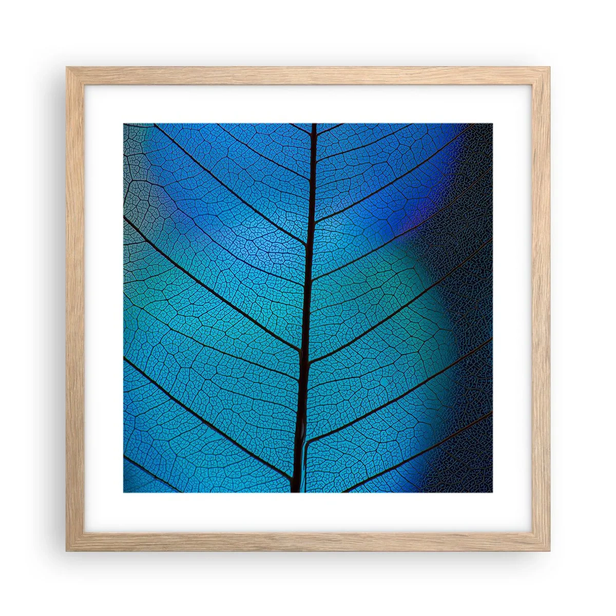 Plakat w ramie jasny dąb - Misterna budowa - 40x40 cm