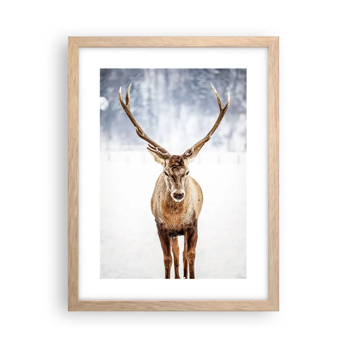 Plakat w ramie jasny dąb - Prosto ze śnieżnej mgły - 30x40 cm