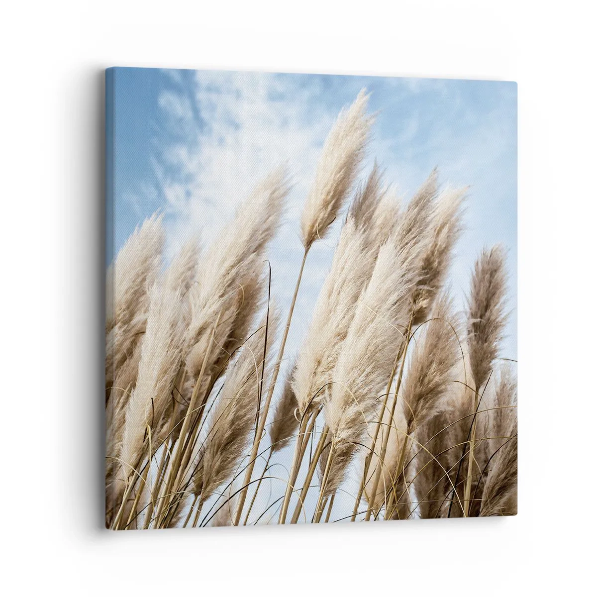 Obraz na płótnie - Słoneczna i wietrzna pieszczota - 30x30 cm