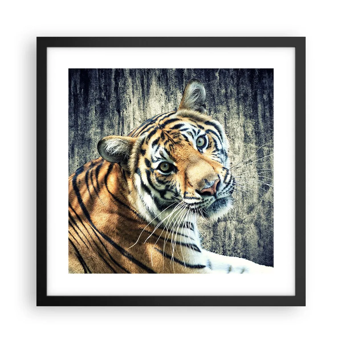 Plakat w czarnej ramie - Portret w strugach światła - 40x40 cm