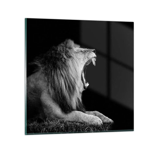 Obraz na szkle - Bez żadnych wątpliwości - 70x70 cm