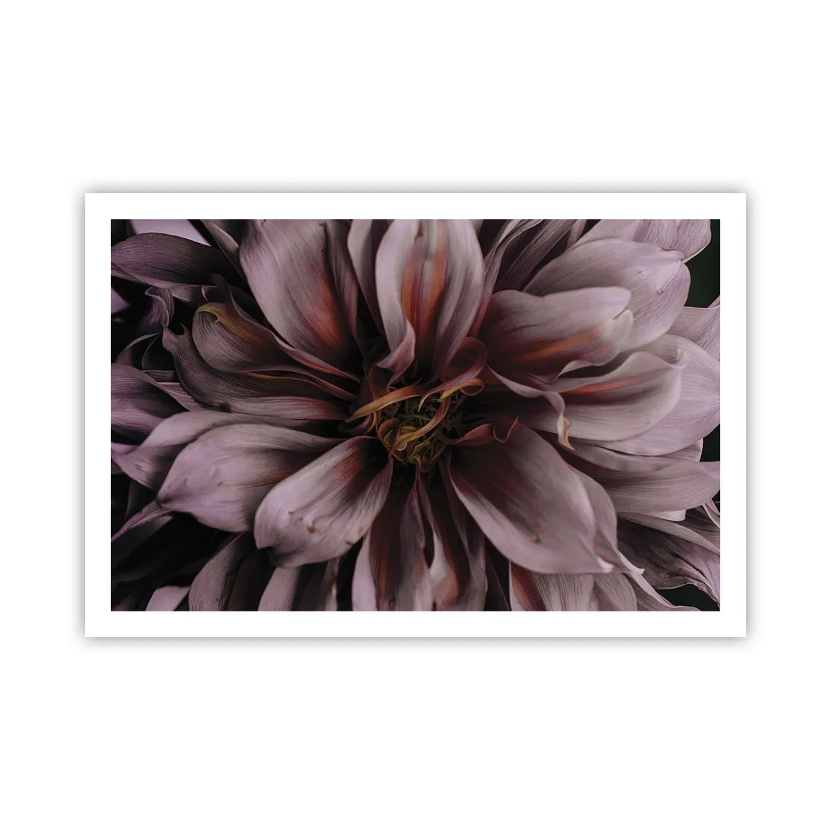 Plakat - Kwietne serce - 91x61 cm