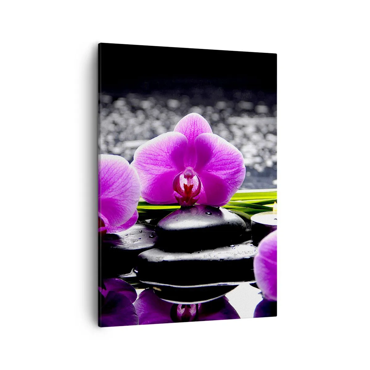 Obraz na płótnie - Różowa orchidea na czarnych kamieniach - 50x70cm - Utonąć w ciszy i spokoju - Nowoczesna dekoracja ścienna do salonu, kuchni i sypialni ARTTOR