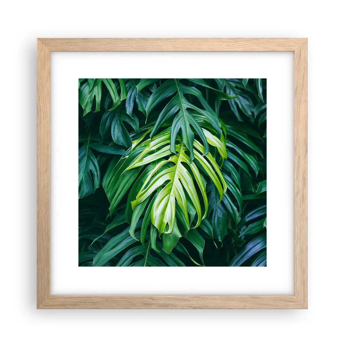 Plakat w ramie jasny dąb - Zanurzyć się w świeżości - 30x30 cm