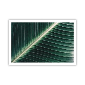 Plakat - Rytm natury - 91x61 cm