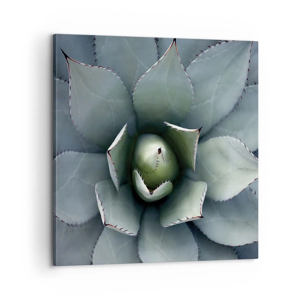 Obraz na płótnie - Wabi i przestrzega - 60x60 cm