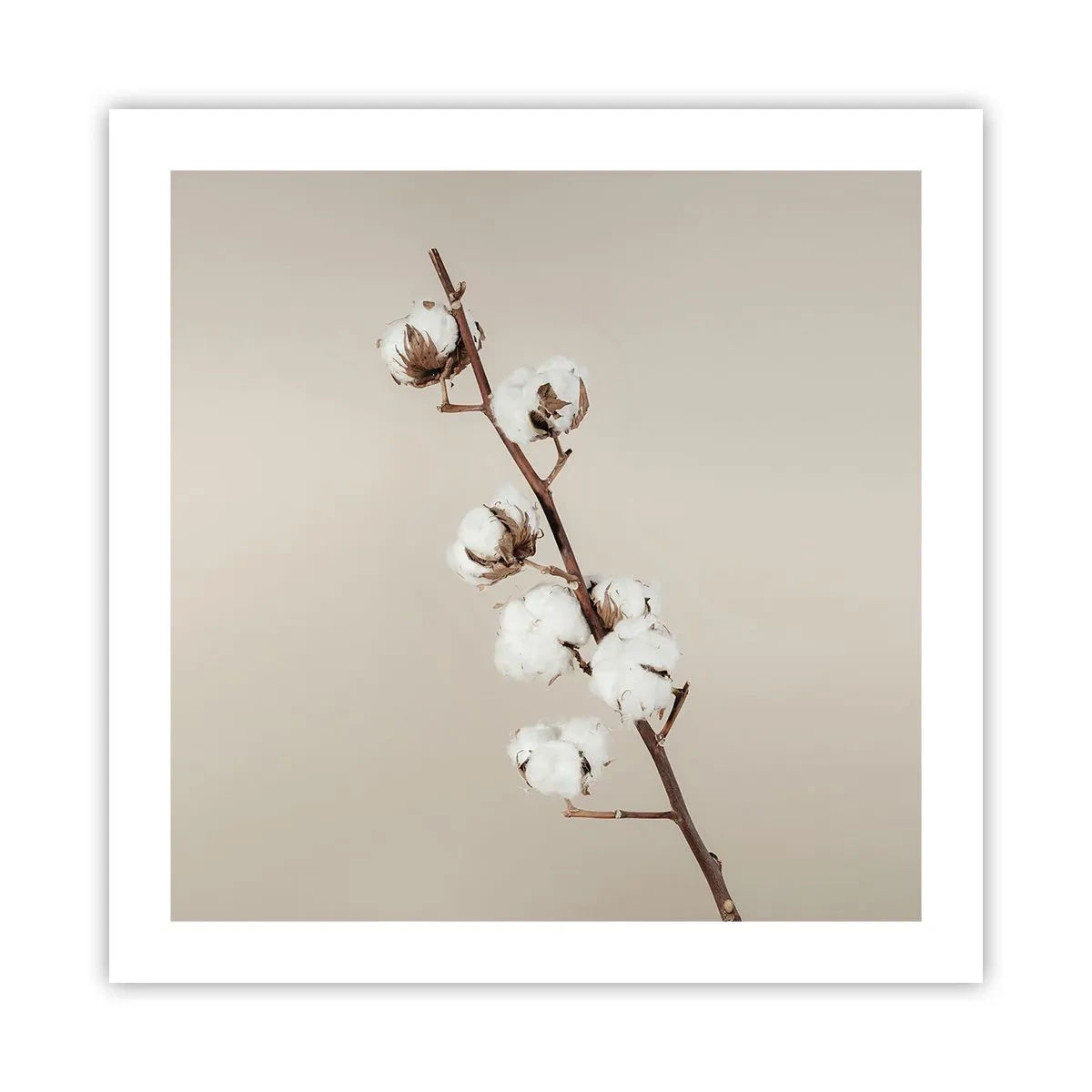 Plakat - U źródła miękkości - 50x50 cm