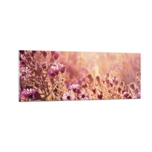 Obraz na szkle - Łąka w świetle zachodzącego słońca - 140x50cm - Przed odejściem lata - Nowoczesna dekoracja ścienna do salonu i sypialni ARTTOR