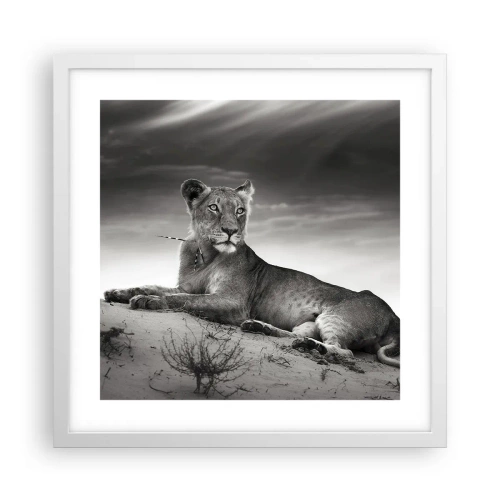 Plakat w białej ramie - Odpoczynek królowej pustyni - 40x40 cm