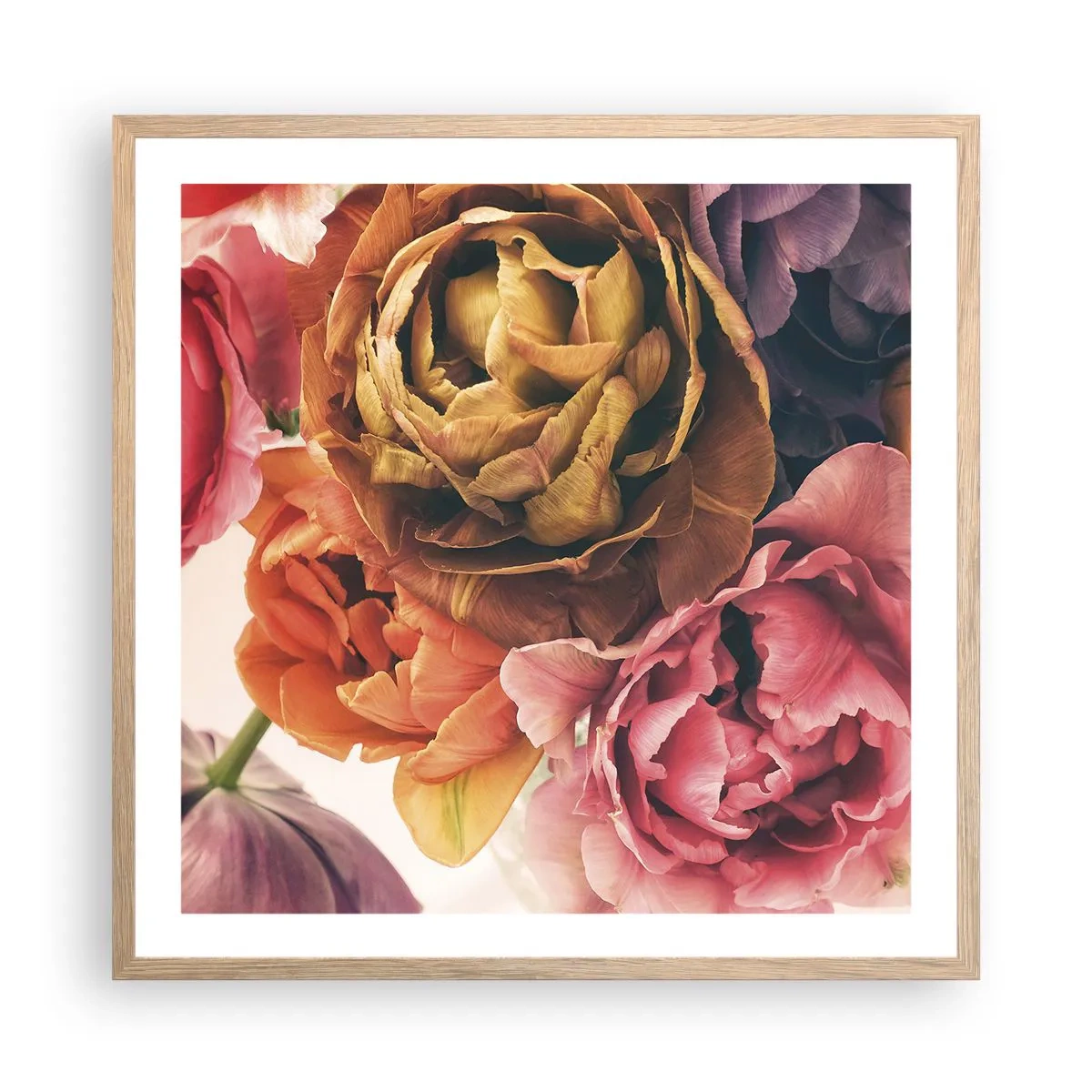 Plakat w ramie jasny dąb - Święto życia - 60x60 cm