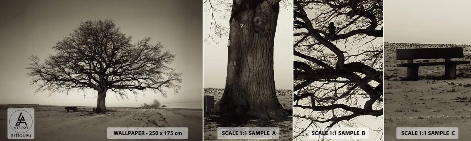 Fototapeta Próbka Samoprzylepna Deluxe Sticker - Stąd do wieczności - Krajobraz, Drzewo, Natura - 100x30 cm