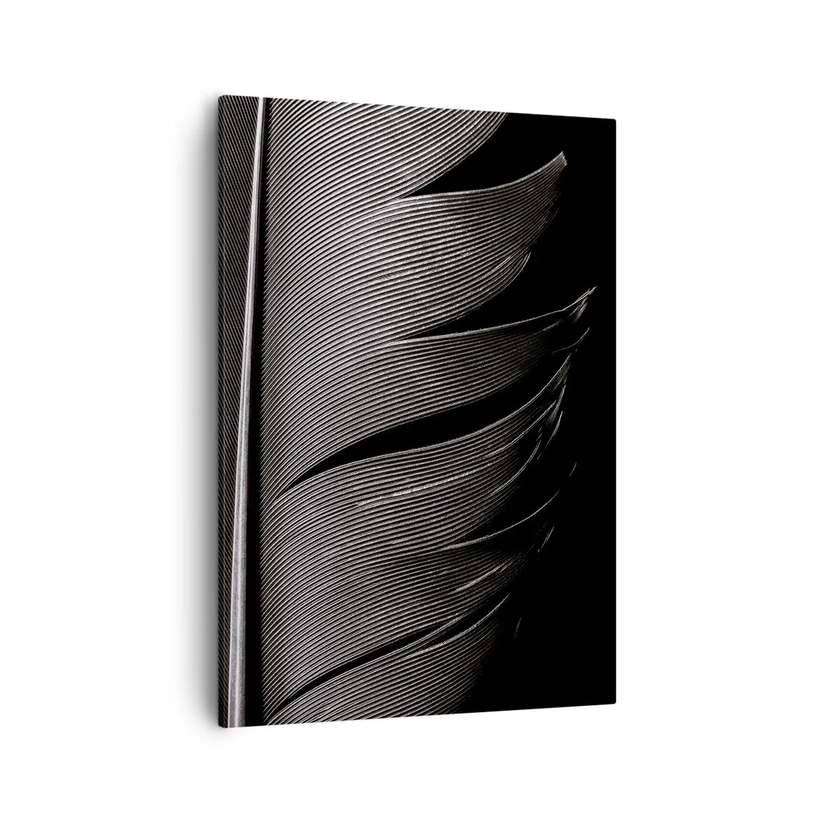 Obraz na płótnie - Czarno-biała fotografia pióra ukazująca jego delikatną strukturę - 50x70cm - Pióro – cudowna konstrukcja - Nowoczesna dekoracja ścienna do salonu, kuchni i sypialni ARTTOR