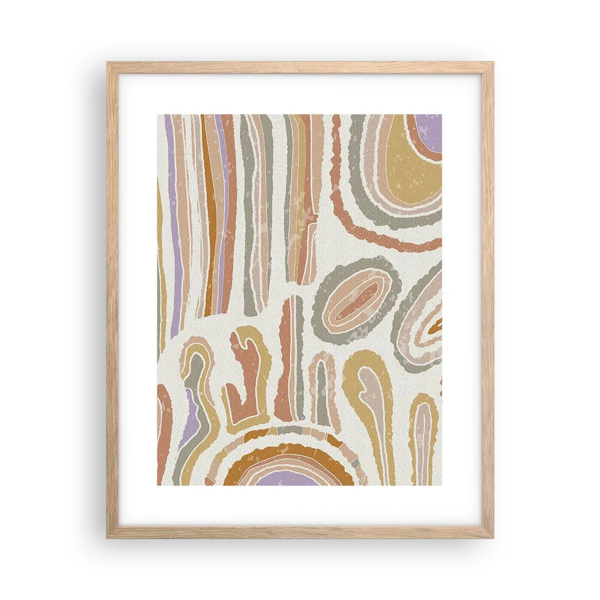 Plakat w ramie jasny dąb - Barwne przekroje - 40x50 cm