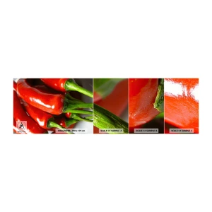 Fototapeta Próbka Samoprzylepna Deluxe Sticker - Soczyste, błyszczące, gładkie - Gastronomia, Papryka, Warzywa - 100x30 cm
