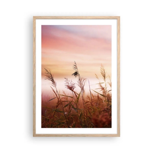 Plakat w ramie jasny dąb - Latawce, dmuchawce, wiatr - 50x70 cm