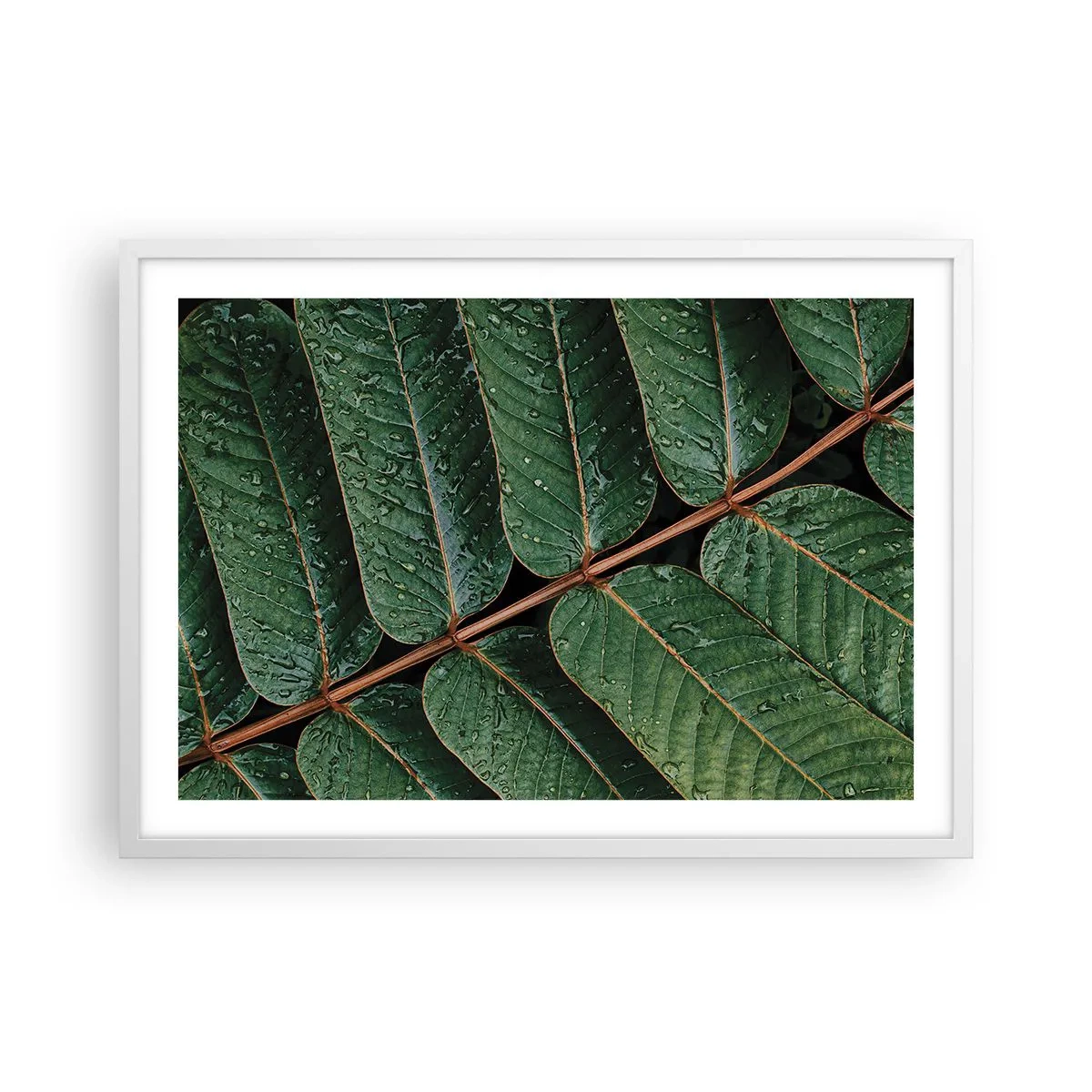 Plakat w białej ramie - W zielonym rytmie - 70x50 cm