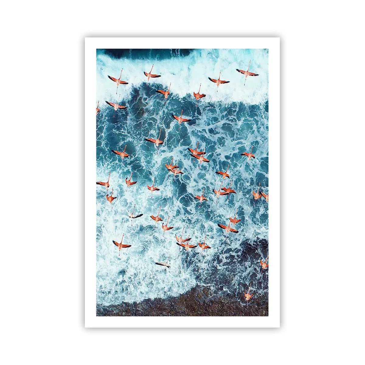 Plakat - Nadmorska parada - 61x91 cm