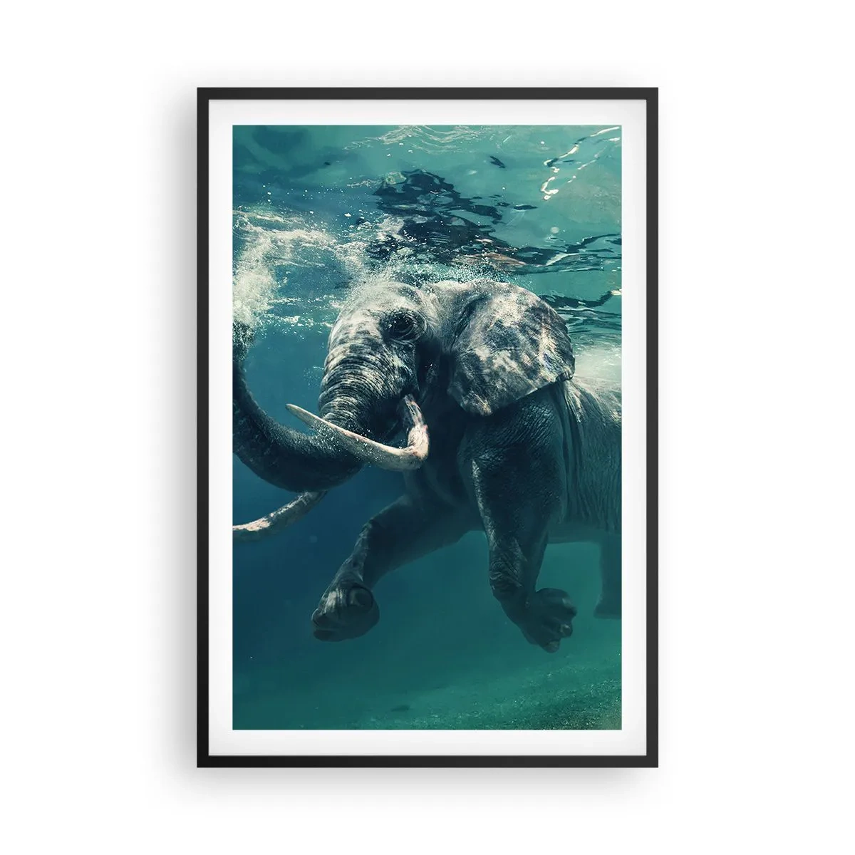 Plakat w czarnej ramie - Wszyscy lubią pływać - 61x91 cm
