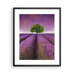 Plakat w czarnej ramie - Na lawendowych polach - 40x50 cm