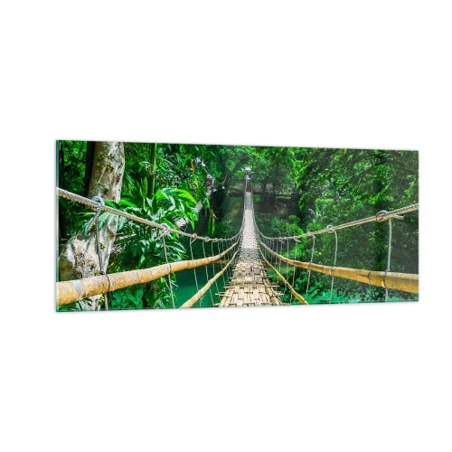 Obraz na szkle - Małpi most nad zielenią - 100x40 cm