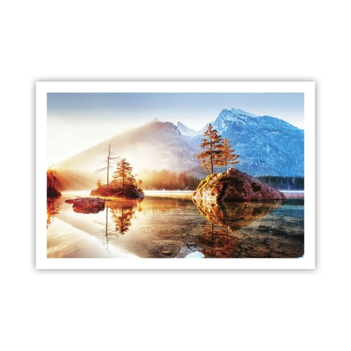 Plakat - Natura w nowym świetle - 91x61 cm