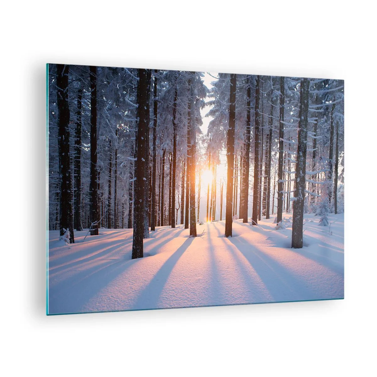 Obraz na szkle - Zimowy las z promieniami słońca przebijającymi przez drzewa - 70x50cm - Wyraźnie czarno na białym - Nowoczesna dekoracja ścienna do salonu i sypialni ARTTOR