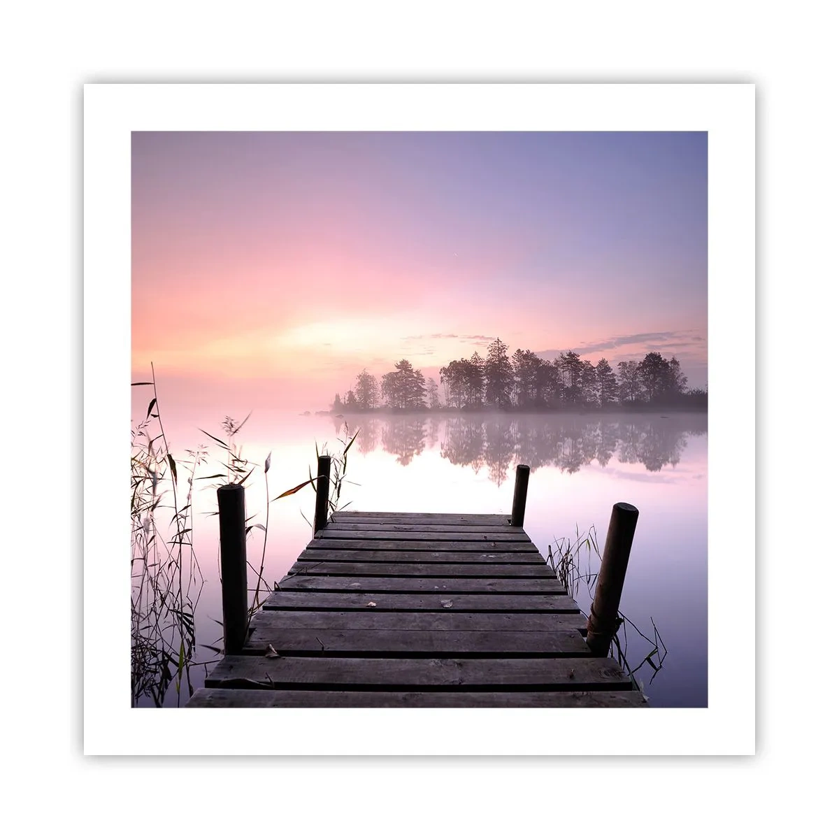 Plakat - Z liliowej mgły... - 50x50 cm