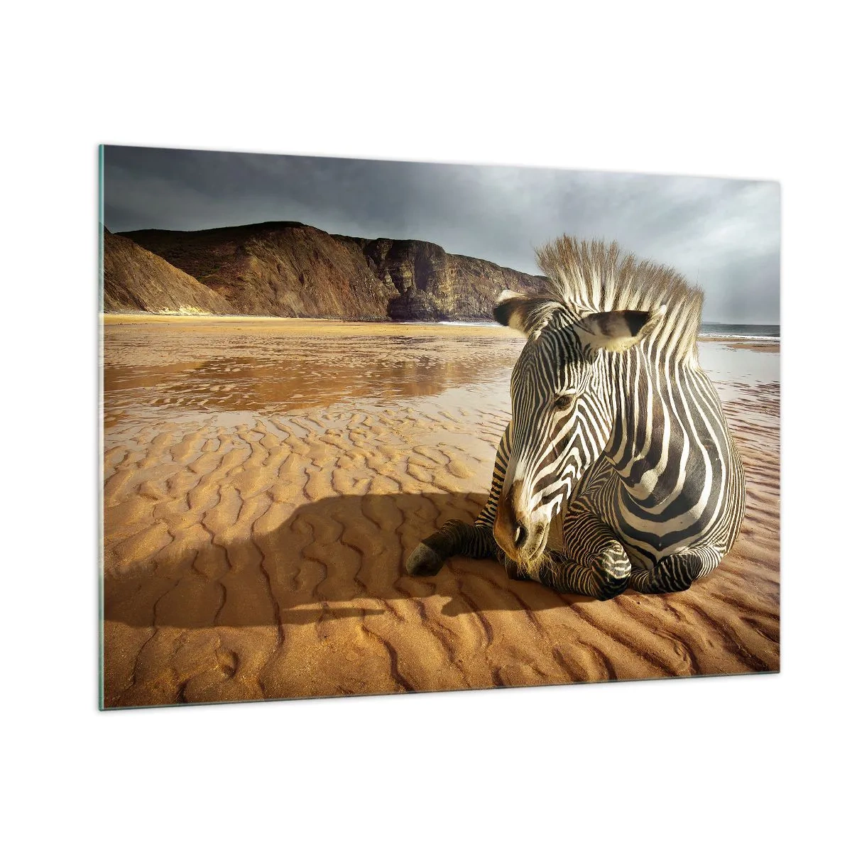 Obraz na szkle - Zebra odpoczywająca na plaży o zachodzie słońca - 100x70cm - Pasujemy do siebie - Nowoczesna dekoracja ścienna do salonu, kuchni i sypialni ARTTOR