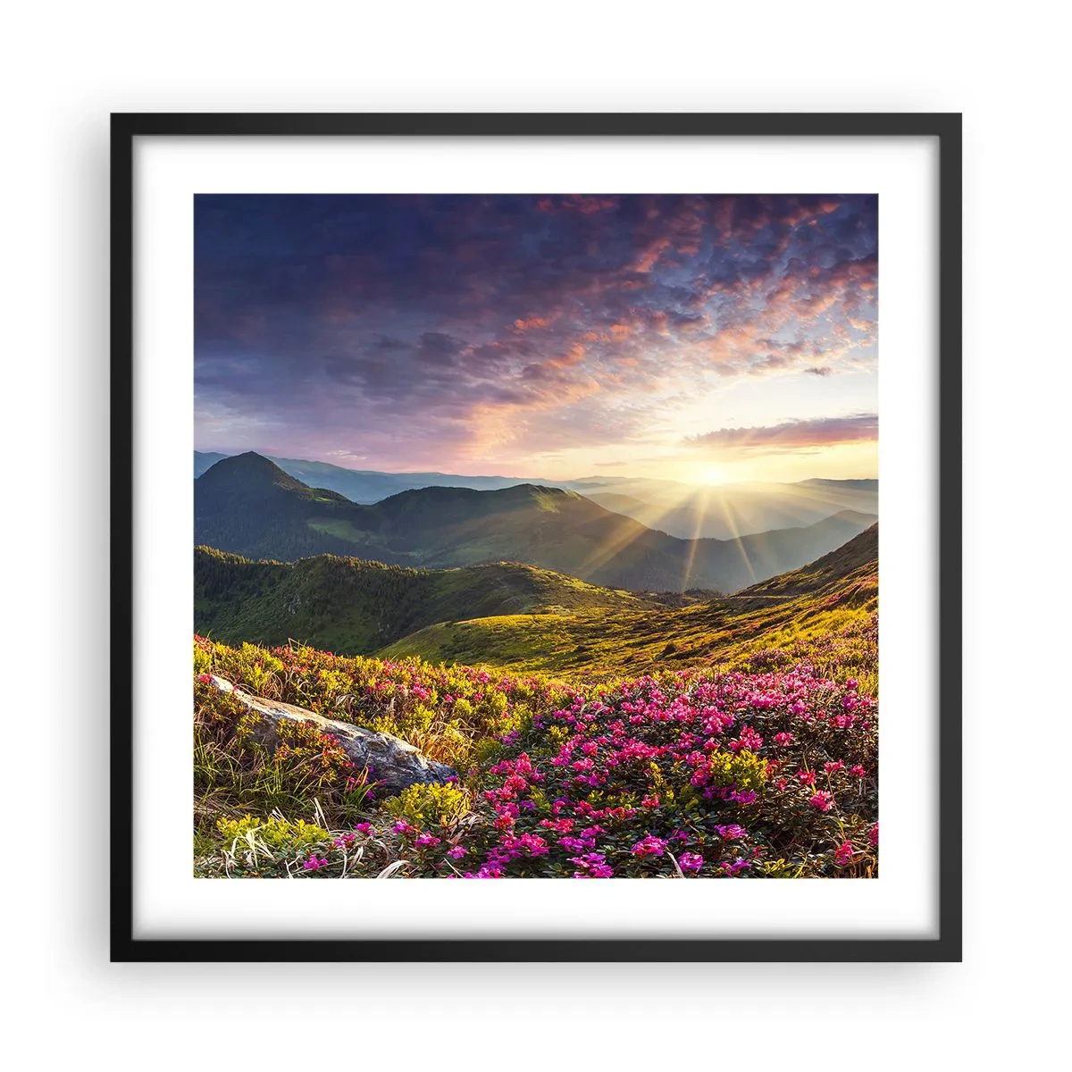 Plakat w czarnej ramie - Świeżość górskiego poranka - 50x50 cm