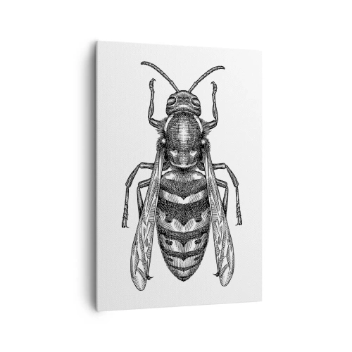 Obraz na płótnie - Rysunkowy motyw osy na białym tle w stylu minimalistycznym - 70x100cm - Z owadziej planety - Nowoczesna dekoracja ścienna do salonu i sypialni ARTTOR