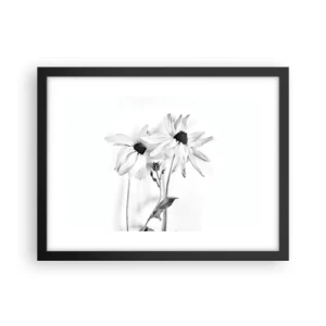 Plakat w czarnej ramie - Nikt nie chce być sam - 40x30 cm