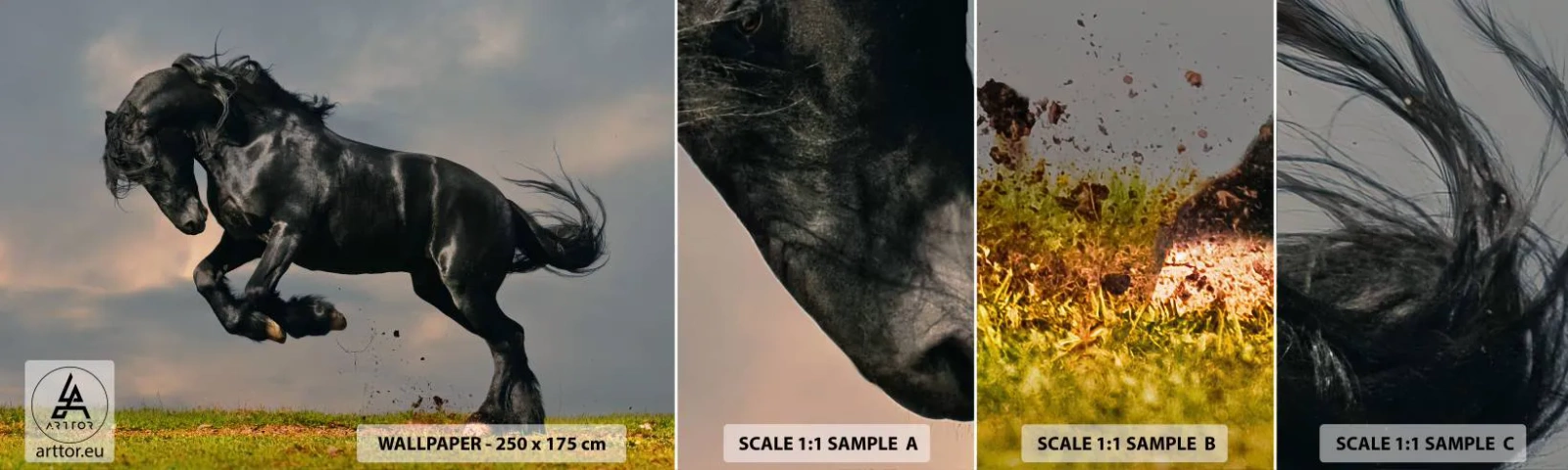 Fototapeta Próbka Standard Eco - Piękny i wolny - Zwierzęta, Koń, Krajobraz - 100x30 cm