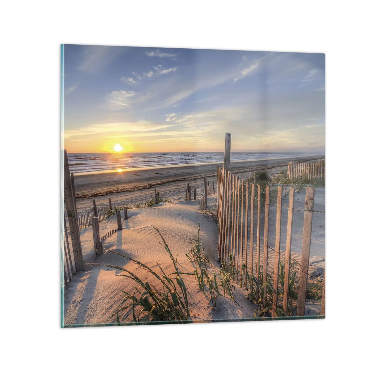 Obraz na szkle - Blask i cień wiatru - 40x40 cm