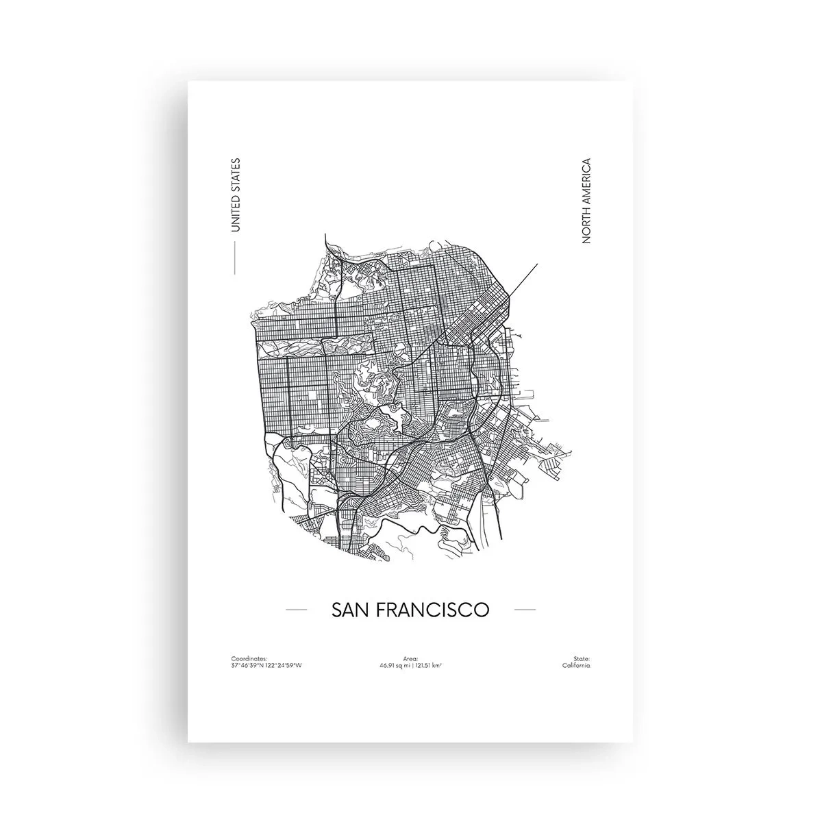 Plakat - Anatomia San Francisco - 61x91 cm