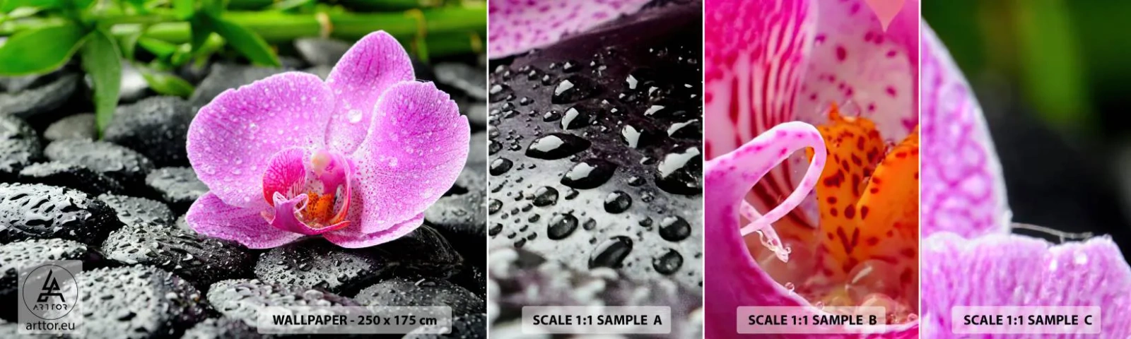 Fototapeta Próbka Standard Eco - Jak otwarte serce - Kwiaty, Orchidea, Storczyk - 100x30 cm