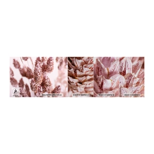 Fototapeta Próbka Premium Sand - Z pozoru niepozorne - Suszony Kwiat, Kwiat, Łąka - 100x30 cm