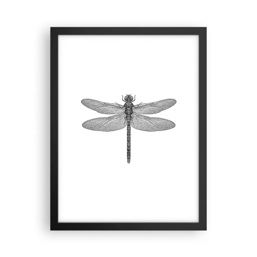 Plakat w czarnej ramie - Precyzja natury - 30x40 cm