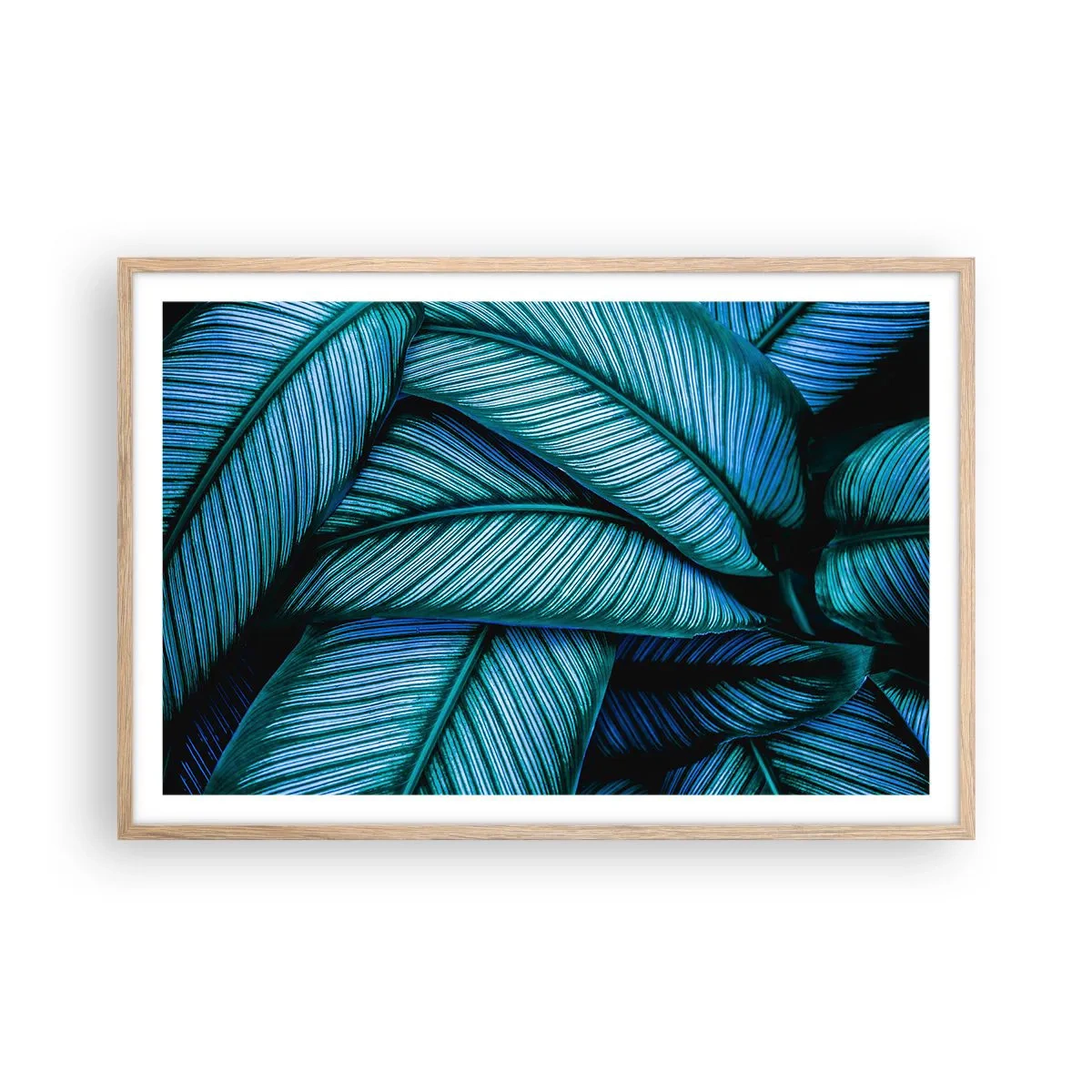 Plakat w ramie jasny dąb - Linie życia - 91x61 cm