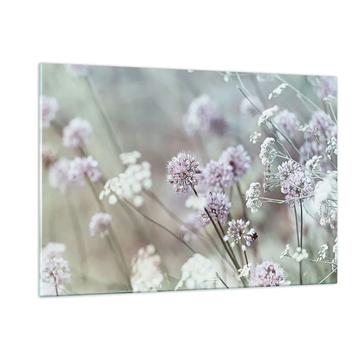 Obraz na szkle - Delikatne polne kwiaty w pastelowych odcieniach - 120x80cm - Słodkie filigrany ziół - Nowoczesna dekoracja ścienna do salonu, kuchni i sypialni ARTTOR