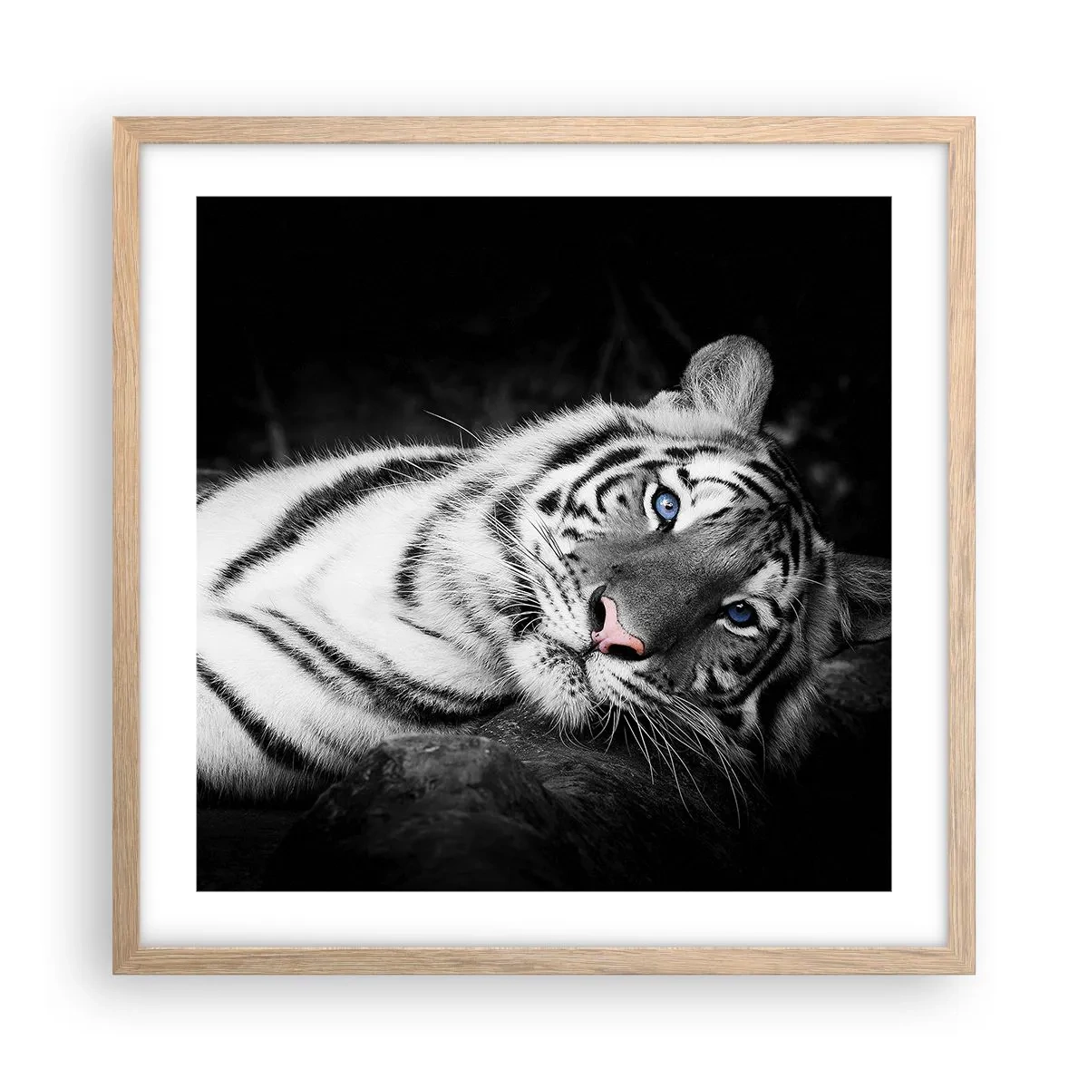 Plakat w ramie jasny dąb - Dzikość i spokój - 50x50 cm