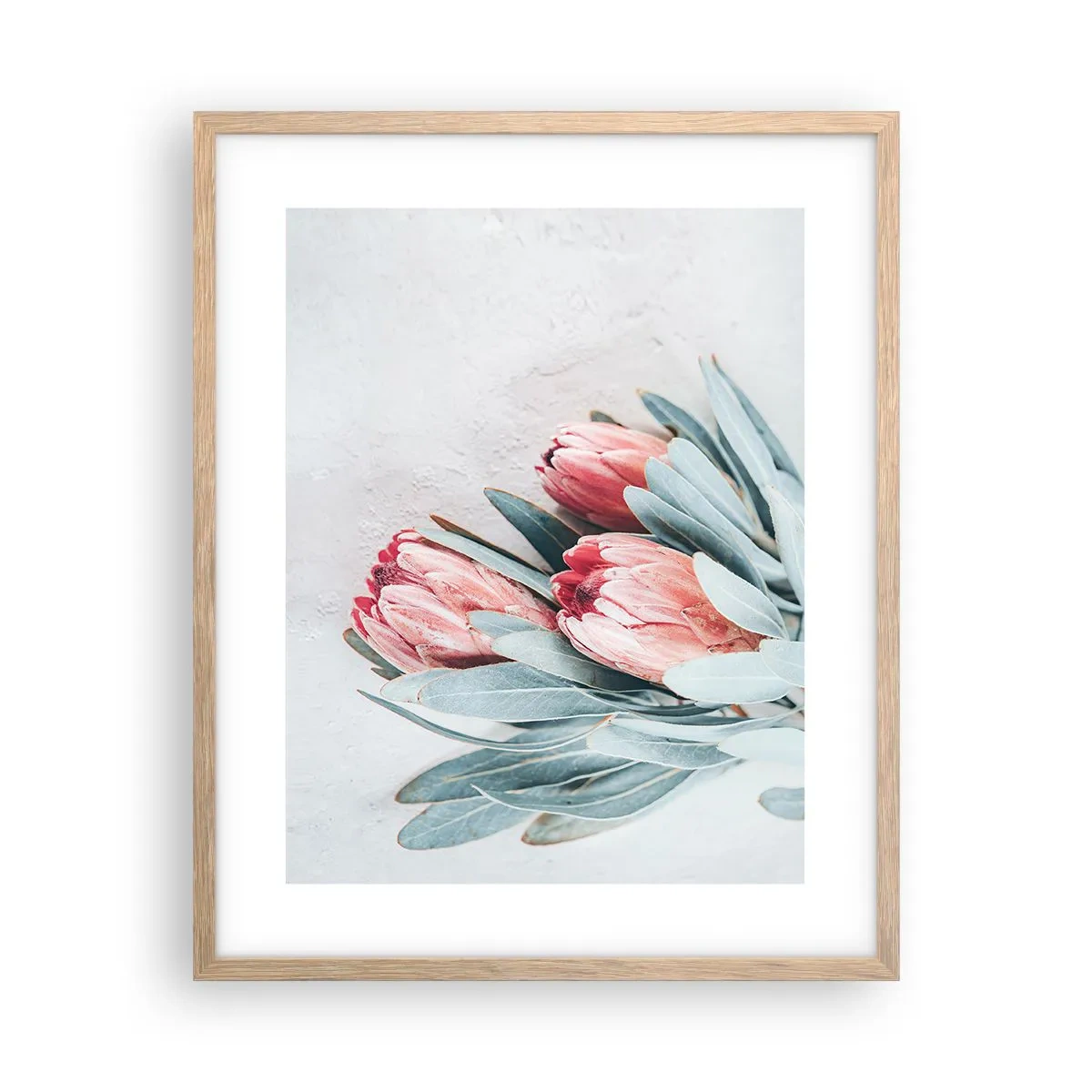 Plakat w ramie jasny dąb - Zawstydzone własną urodą - 40x50 cm