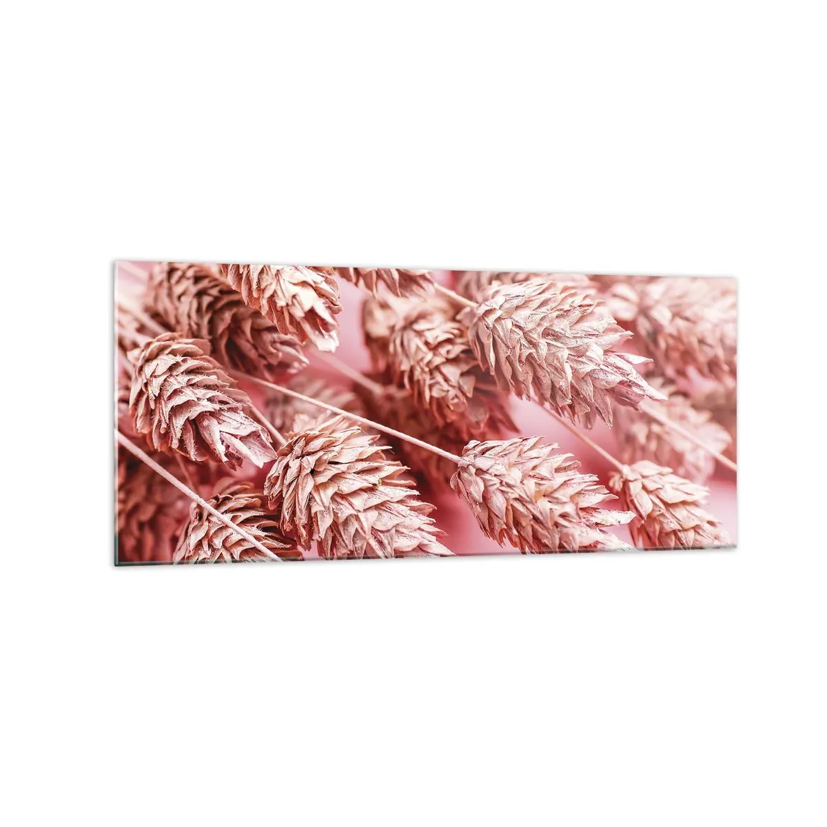 Obraz na szkle - Zbliżenie na kłosy w różowym odcieniu - 120x50cm - Kwietna kaskada w różu - Nowoczesna dekoracja ścienna do salonu i sypialni ARTTOR