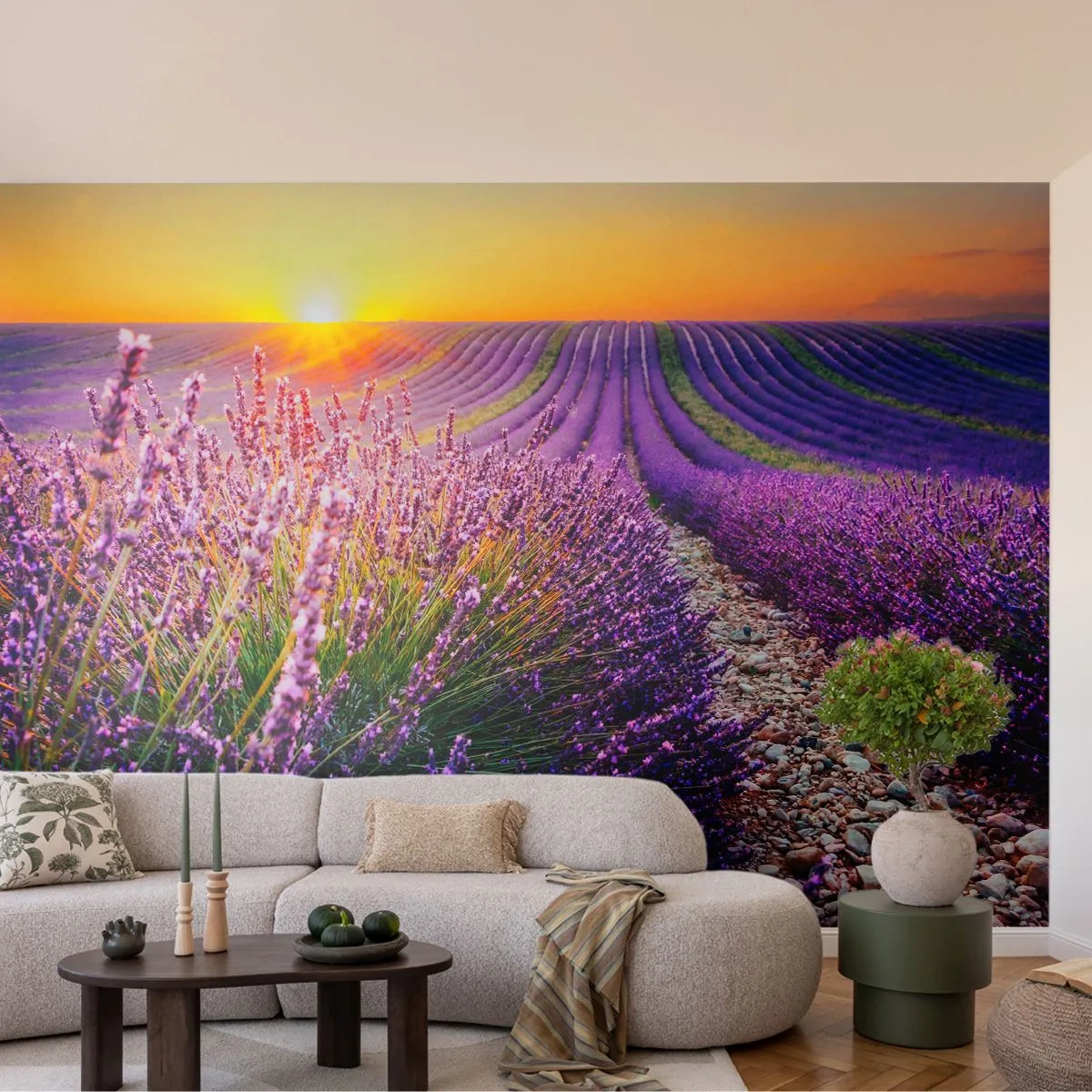 Fototapeta Premium Sand - Lawendowe pola o zachodzie słońca - 100x70cm - Pachnący łan - Nowoczesna dekoracja ścienna do salonu, kuchni i sypialni ARTTOR