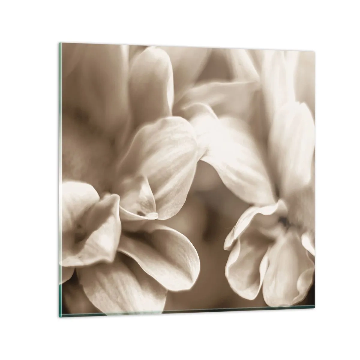 Obraz na szkle - Łagodne jak uśmiech - 70x70 cm