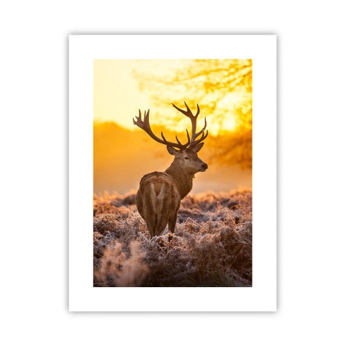 Plakat - Król jesiennego lasu - 30x40 cm